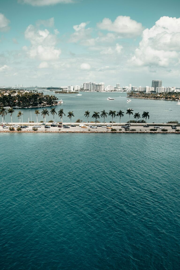 Hidden Attractions in South Florida You Need to Visit