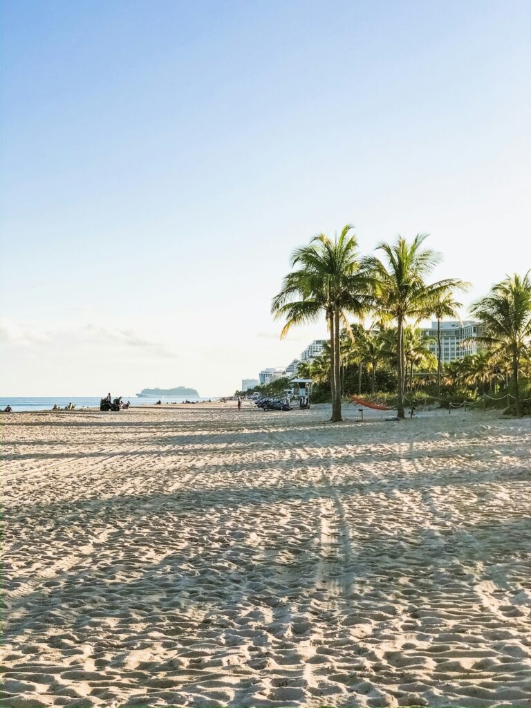 How to Experience South Florida’s Nightlife
